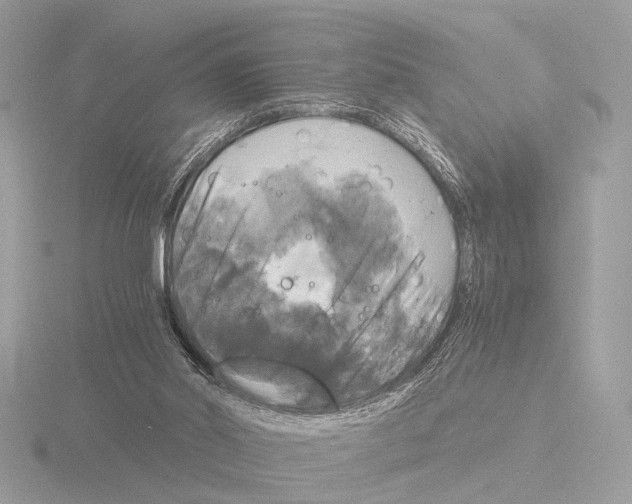 X0000116020014200912181159