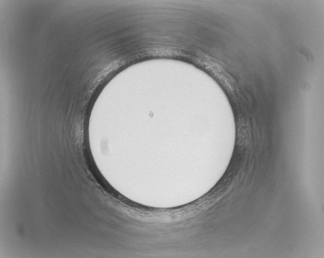 X0000116020015200912181159