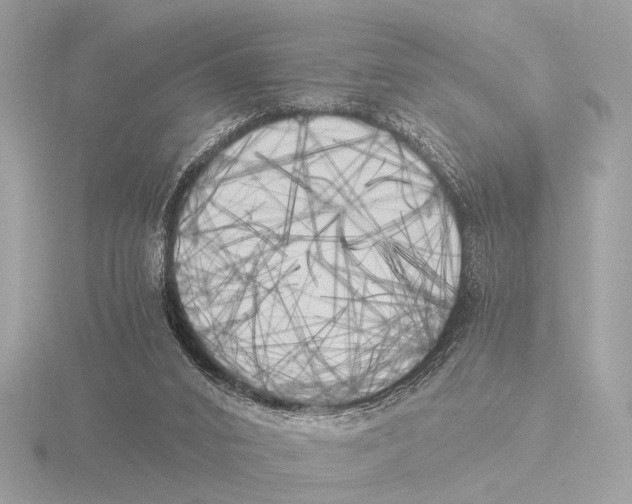 X0000116020016200912181159