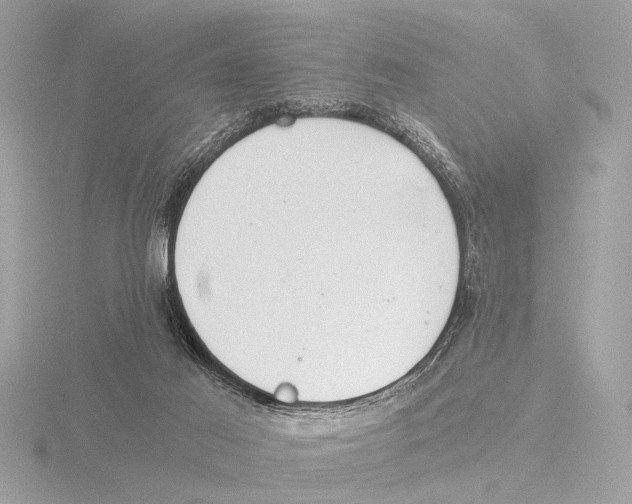 X0000116020021200912181159