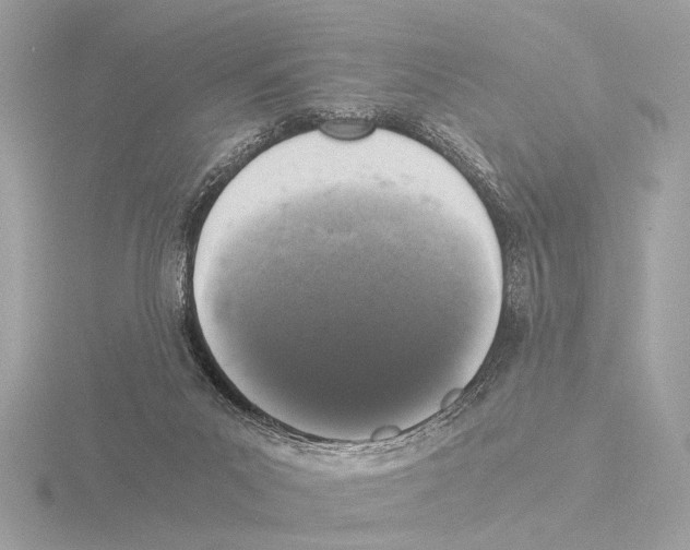 X0000116020023200912181159