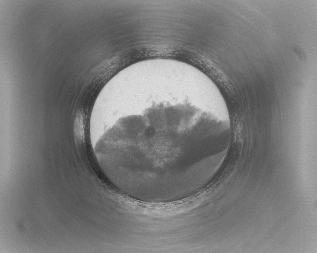 X0000116020026200912181158