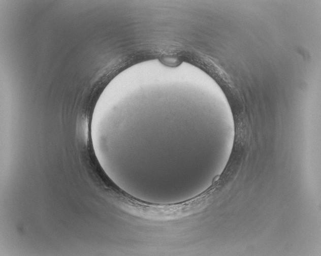 X0000116020027200912181158