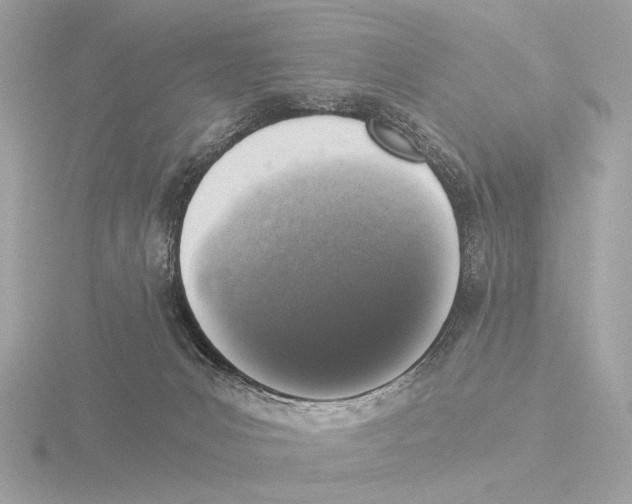 X0000116020031200912181158