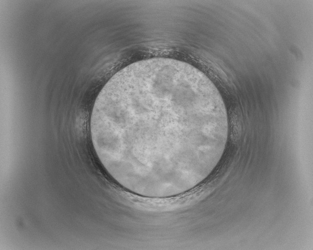 X0000116020034200912181158