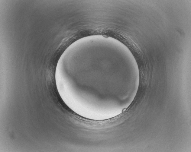 X0000116020035200912181158