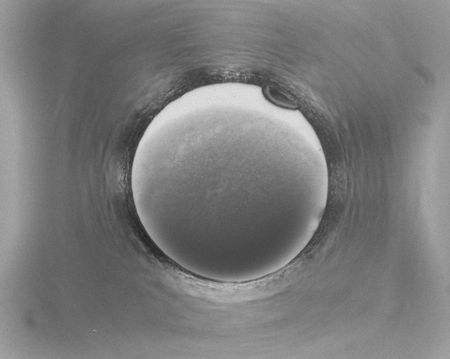 X0000116020039200912181158