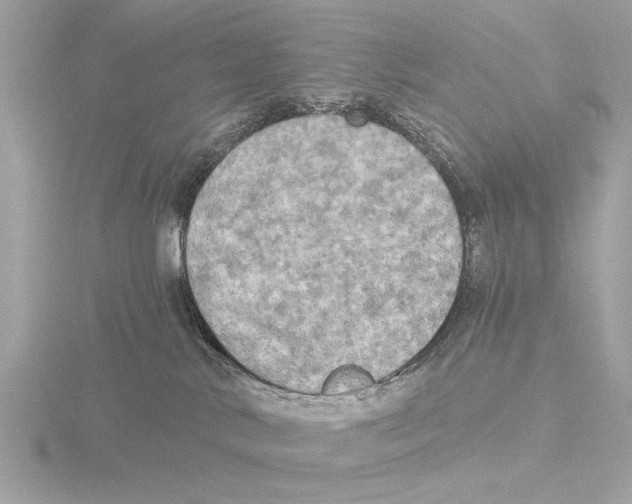 X0000116020042200912181158