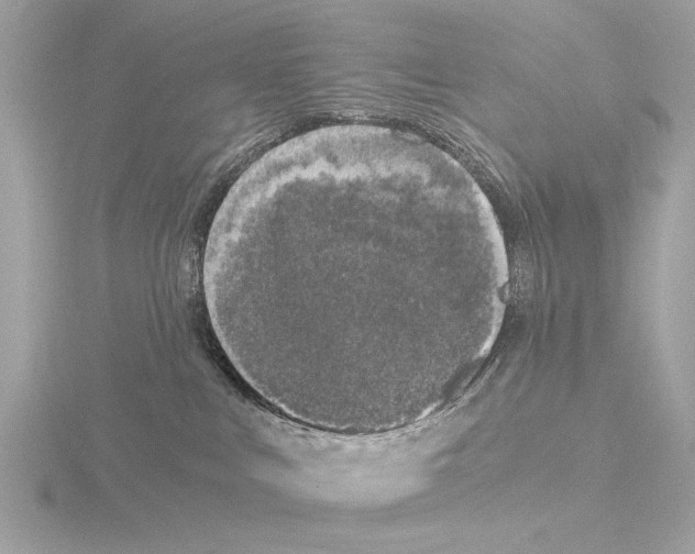 X0000116020043200912181158