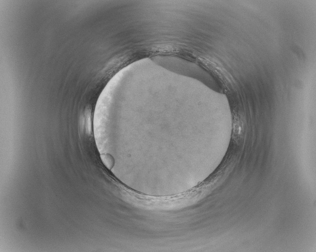 X0000116020046200912181158