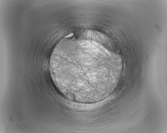 X0000116020048200912181158