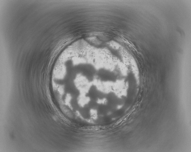 X0000116020049200912181158