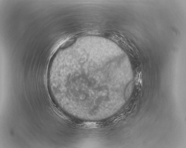 X0000116020052200912181158