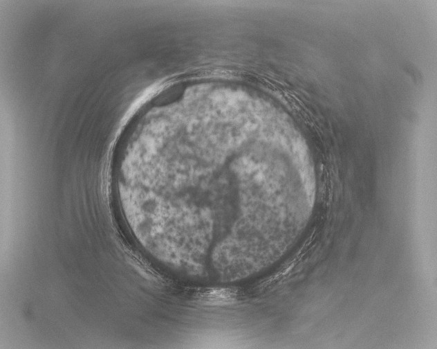 X0000116020056200912181158