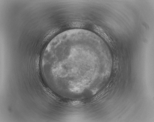 X0000116020058200912181158