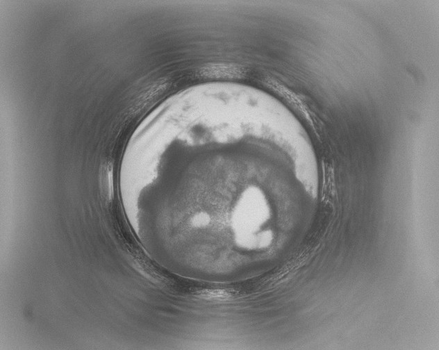 X0000116020061200912181158