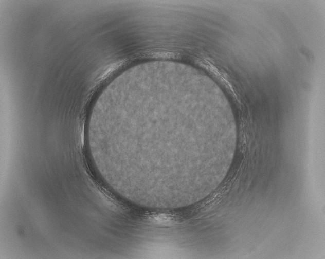 X0000116020062200912181158