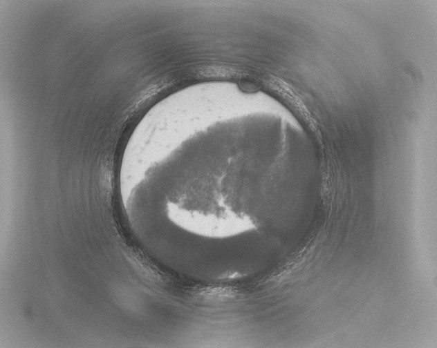 X0000116020063200912181158