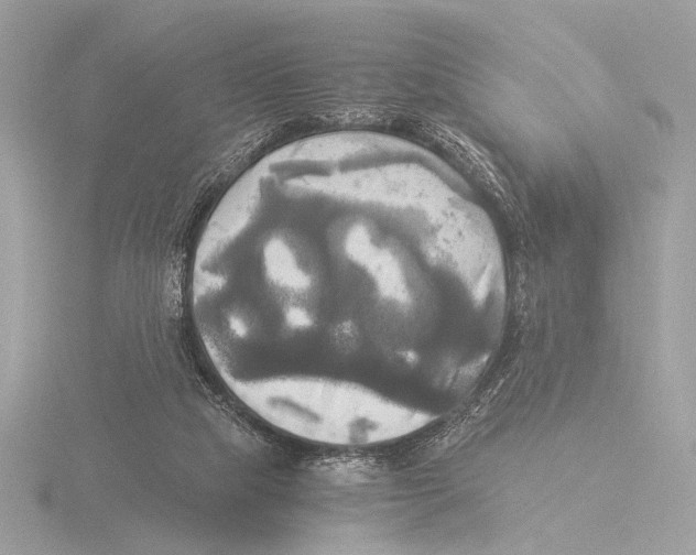 X0000116020065200912181158