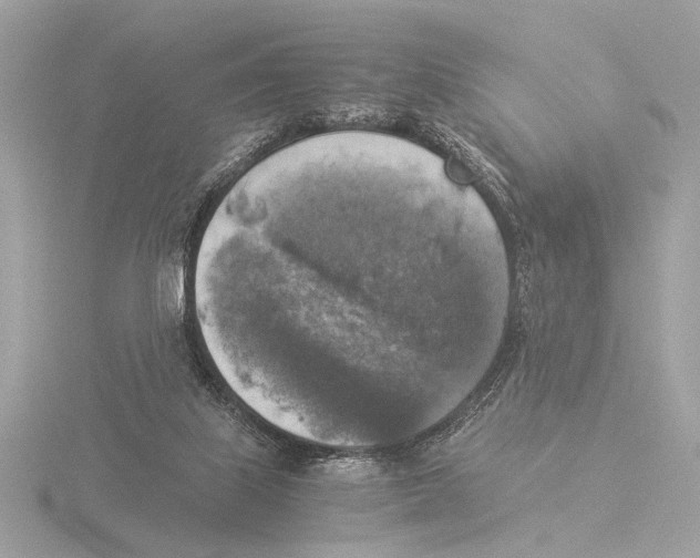 X0000116020067200912181158