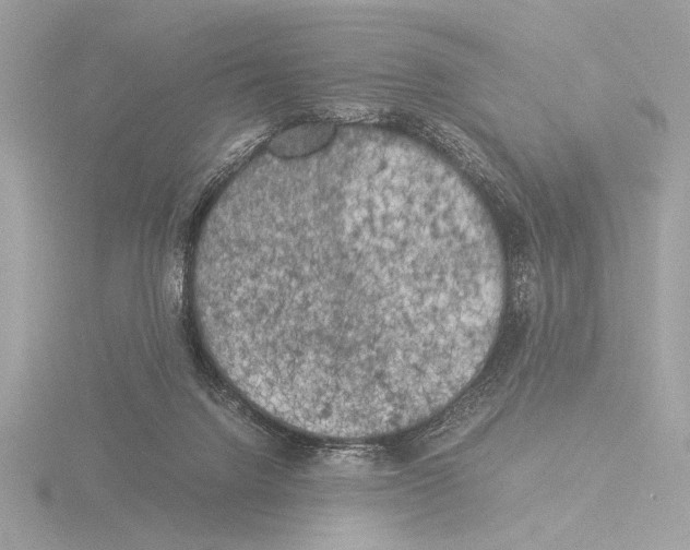 X0000116020072200912181158