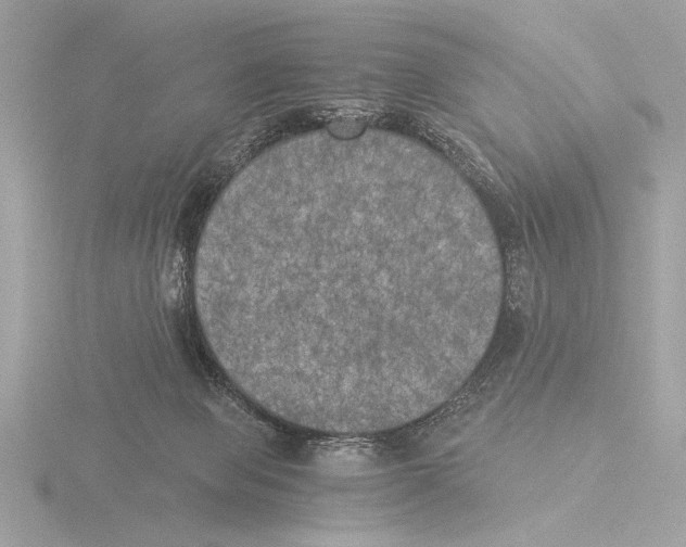 X0000116020077200912181158