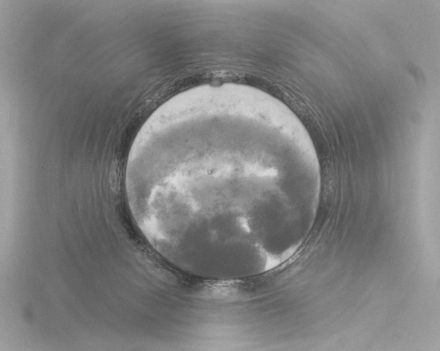 X0000116020078200912181158