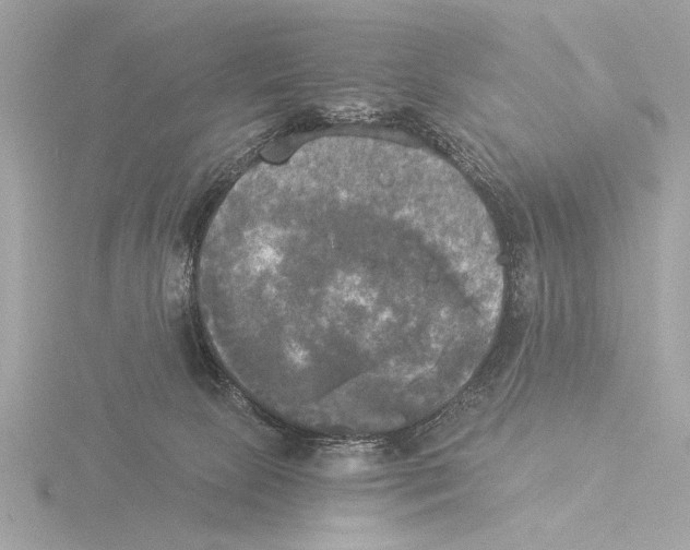 X0000116020081200912181158