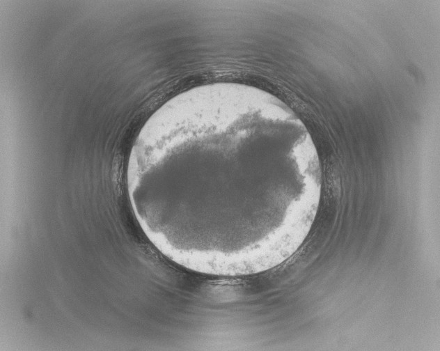 X0000116020082200912181158