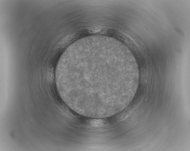 X0000116020085200912181158