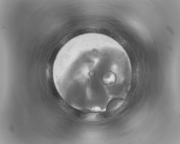 X0000116020090200912181158