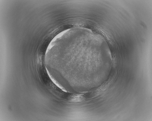 X0000116020093200912181158