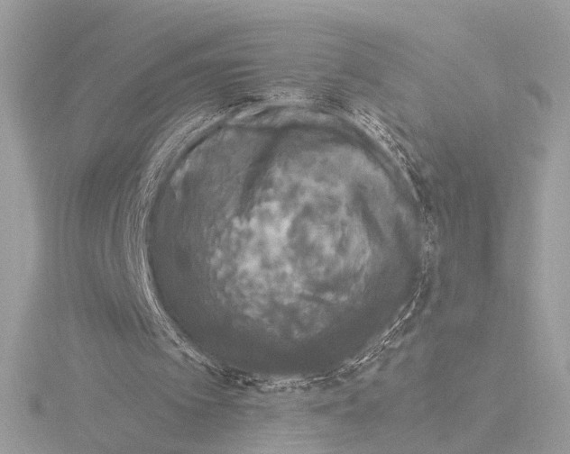 X0000116020097200912181158