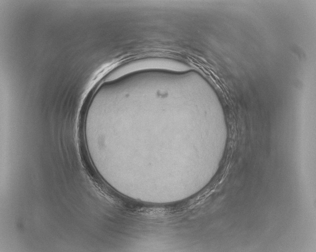 X0000116020104200912181157