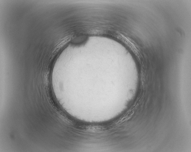 X0000116020105200912181157