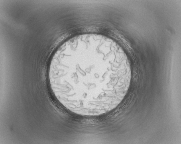 X0000116020107200912181157