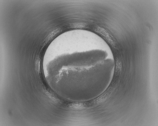 X0000116020110200912181157