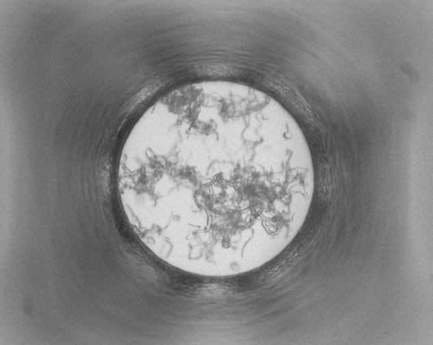 X0000116020111200912181157