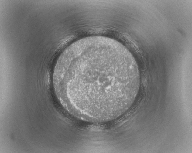 X0000116020115200912181157