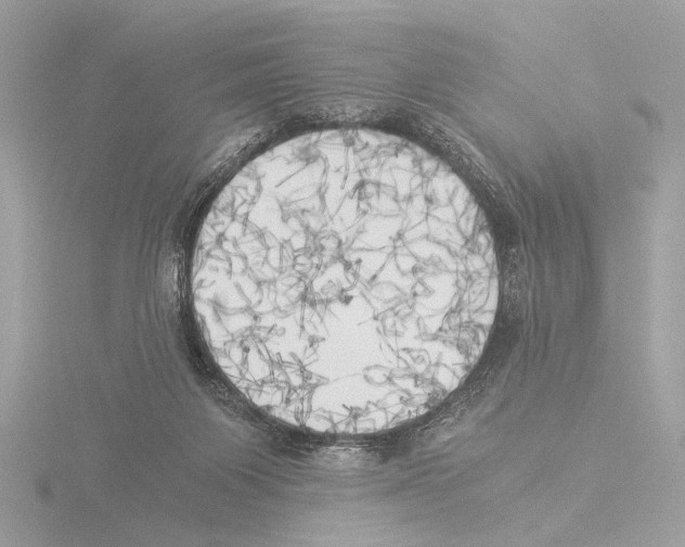 X0000116020119200912181157