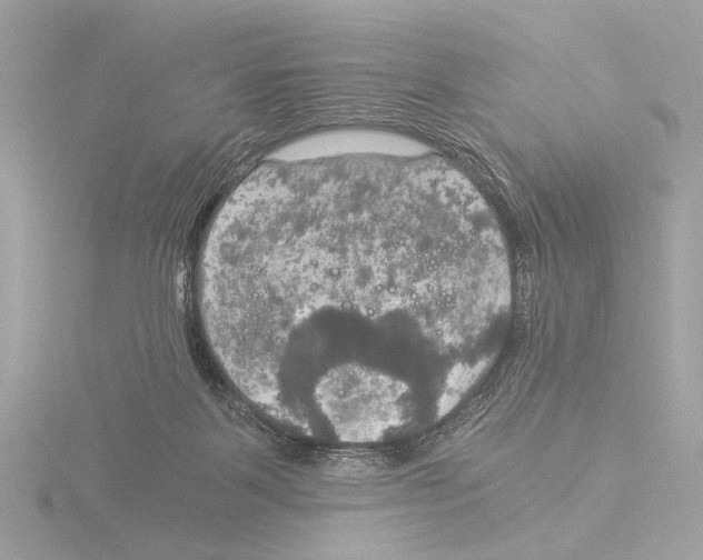 X0000116020123200912181157