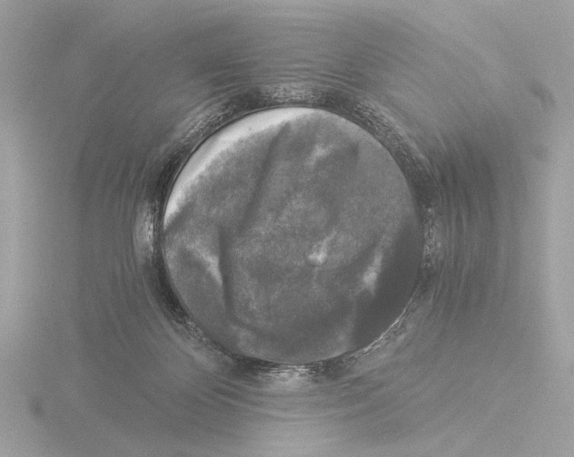 X0000116020124200912181157