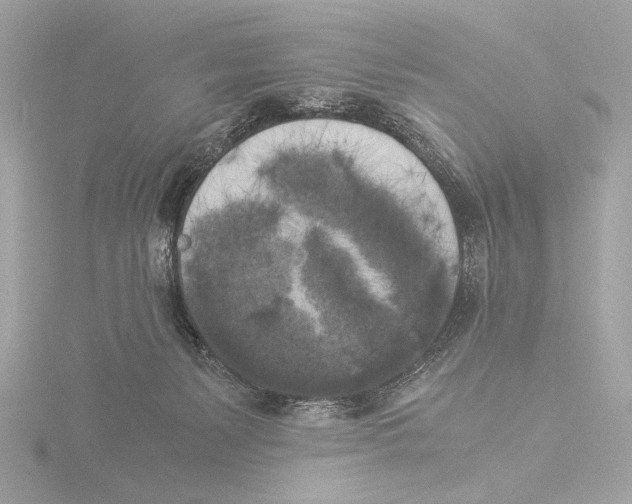 X0000116020127200912181157