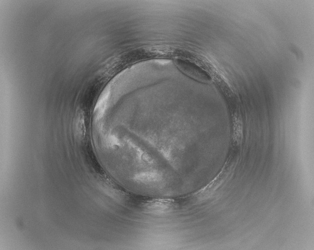 X0000116020128200912181157