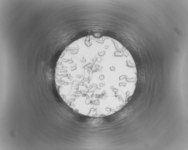 X0000116020135200912181157