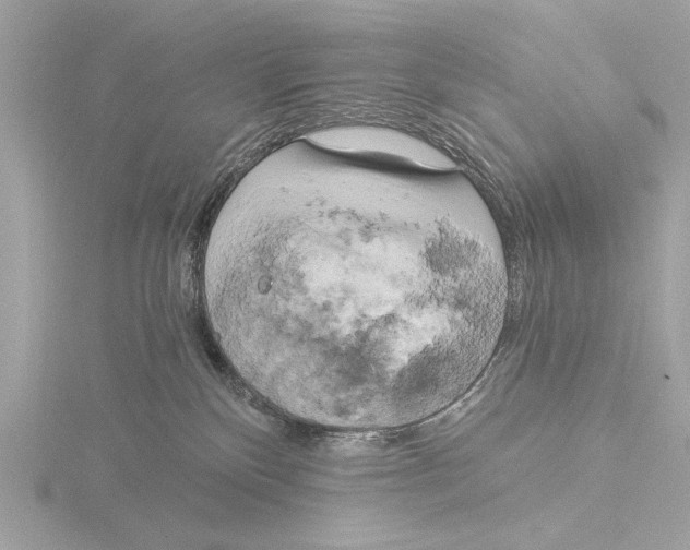 X0000116020136200912181157