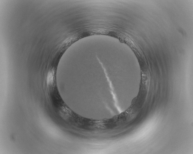 X0000116020143200912181157