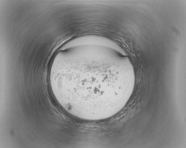 X0000116020146200912181156