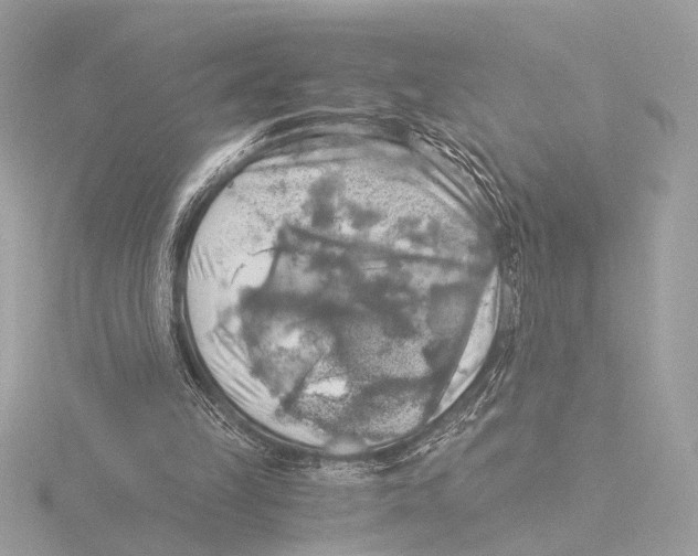 X0000116020149200912181156