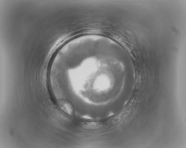 X0000116020151200912181156